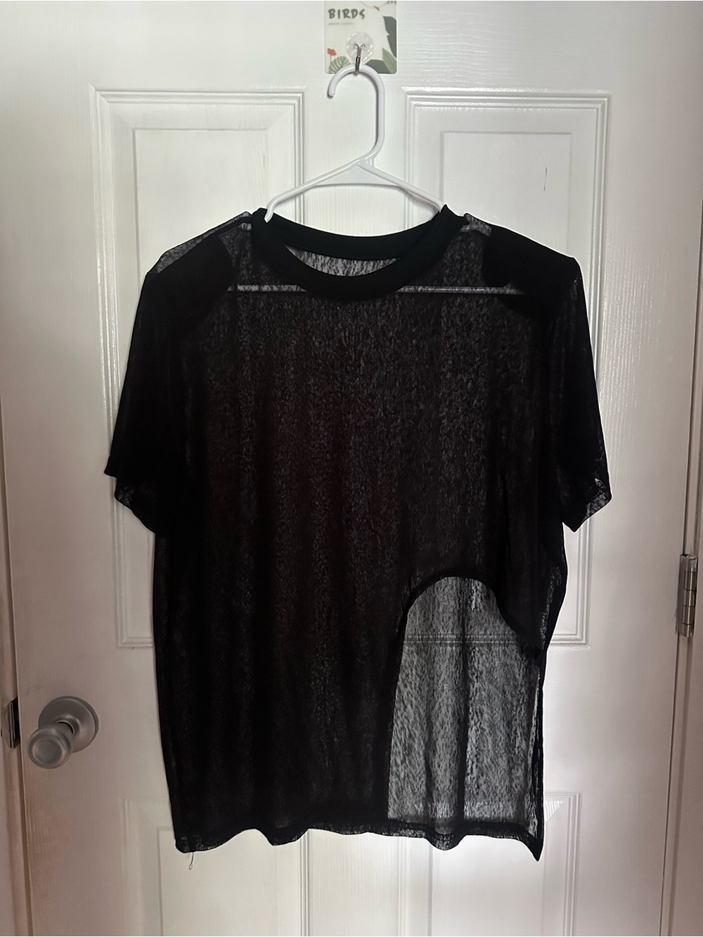 Mesh/Sheer Black Short Sleeve Top